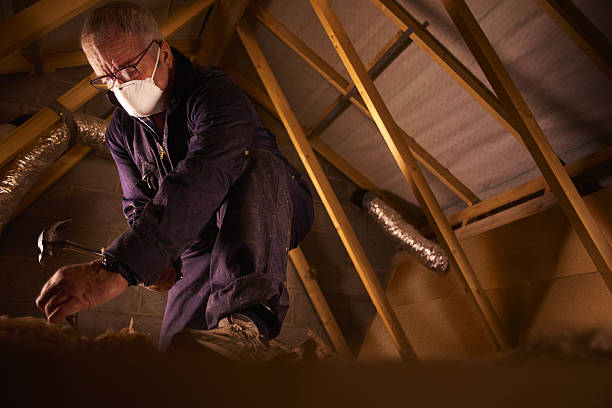 Best Specialty Insulation in Cedar Crest, MA